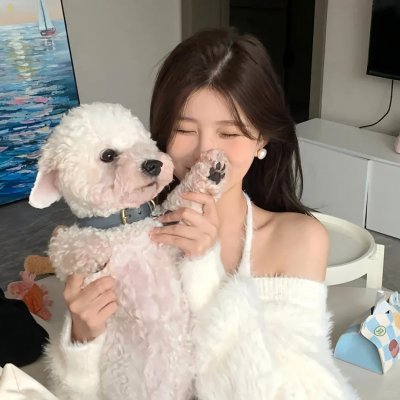 假日总动员 海报